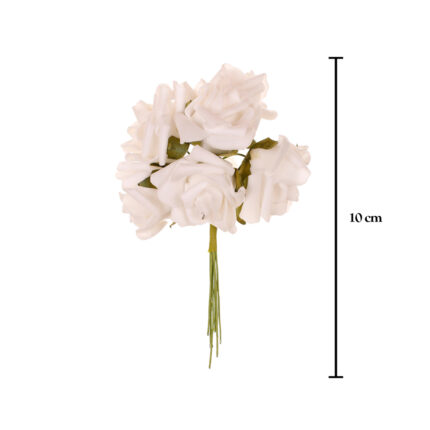 BOLSA 12 POMOS FOAM X6