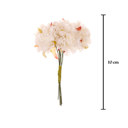 BOLSA 5 POMOS ZINNIA X6 FLORES