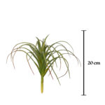MATA TILLANDSIA PQÑ
