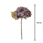 PICK HORTENSIA
