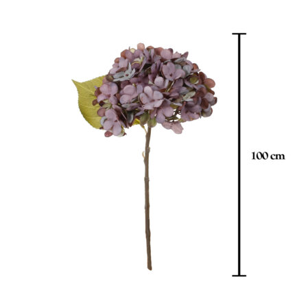 PICK HORTENSIA