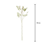 V.AROMATICAS CICLANTRO