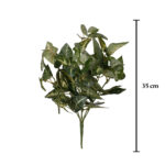 MATA HOJA ANTHURIUM