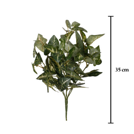 MATA HOJA ANTHURIUM