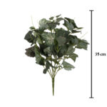 MATA HOJA BEGONIA