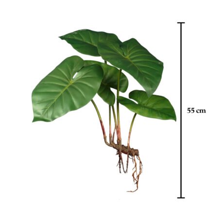 MATA RAICES HOJA CALA