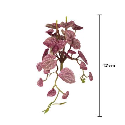 MATA MINI HOJA ANTHURIUM