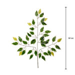 POMO HOJA FICUS X12