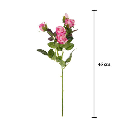 MINI ROSAS X5