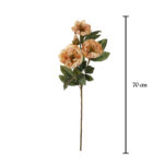 V.PEONIA X3