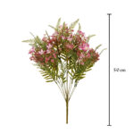 R.FILIPENDULA