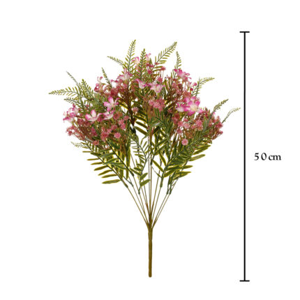 R.FILIPENDULA