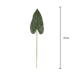 HOJA ANTHURIUM PEQ.