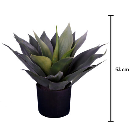 PLANTA AGAVE 52CM