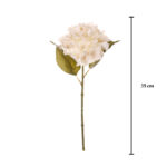 V.HORTENSIA AGUA OTOÑAL