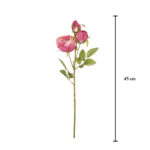V.RANUNCULO X3 *FUXIA