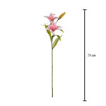 V.LILIUM TACTO NAT.