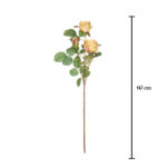 V.ROSA X3 *FUXIA