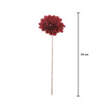 ZINNIA FOAM