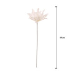 DAHLIA "FOAM"