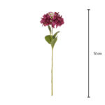 VARA HORTENSIA