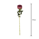 VARA ROSA INGLESA