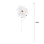 V.POINSENTIA TERCIOPELO