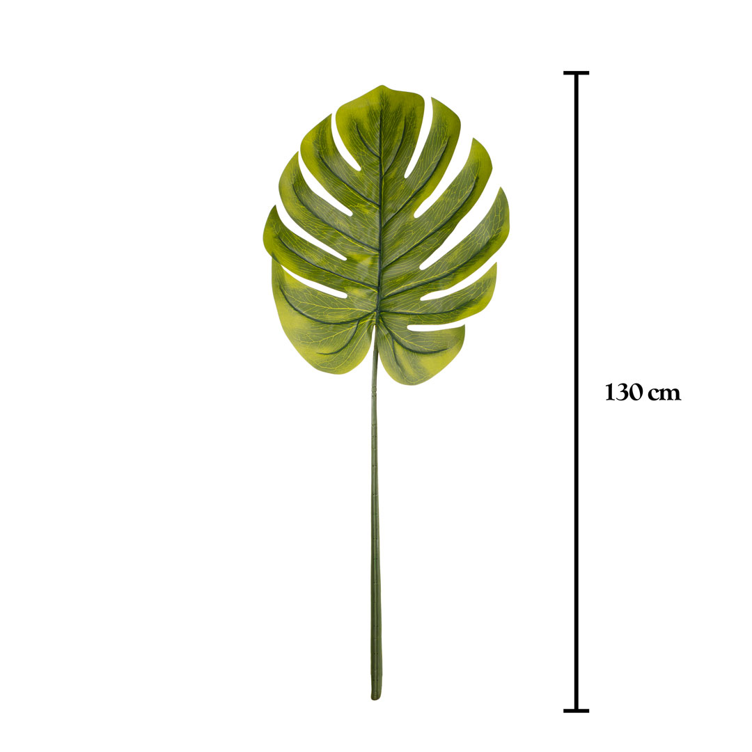 VARA COSTILLA GIGANTE (487972) *V.OSCURO