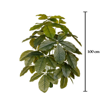 MATA CHEFLERA HOJA GRD 1.00MT