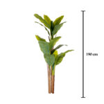 MATA PLATANERA X3 TRONCO 1.90MT