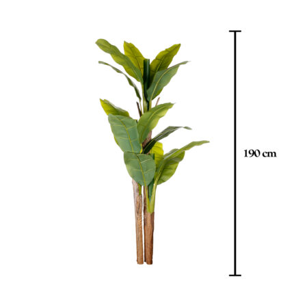 MATA PLATANERA X3 TRONCO 1.90MT