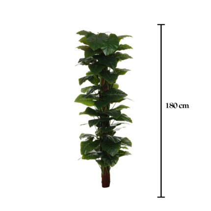 MATA TUTOR PHILOLENDRO 1.80MT