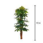 MATA TUTOR ARALIA 1.20MT