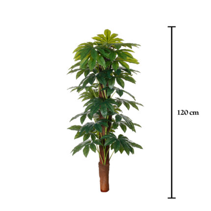 MATA TUTOR ARALIA 1.20MT