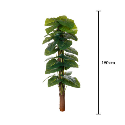 MATA TUTOR PHILOLENDRO 1.20MT