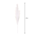 VARA PLUMAS 1.00MT