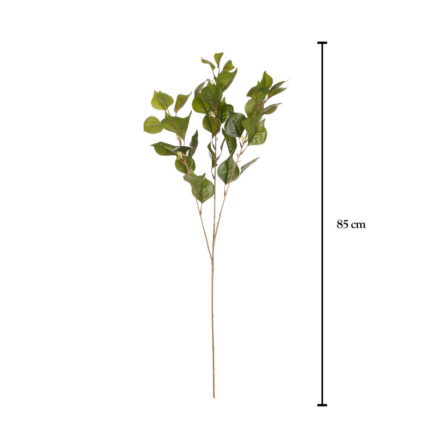 VARA HOJA LAUREL MINI SEMILLA