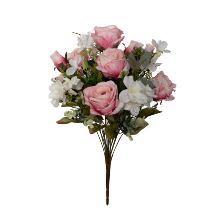 R. ROSAS/CAPULLITOS *FUXIA