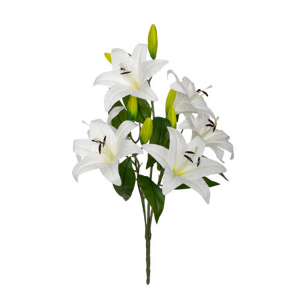 R. LILIUM GIG. TACTO NATURAL *BLANCO