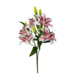 R. LILIUM GIG. TACTO NATURAL