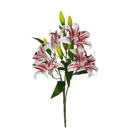 R. LILIUM GIG. TACTO NATURAL * BURDEOS