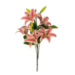 R. LILIUM GIG. TACTO NATURAL