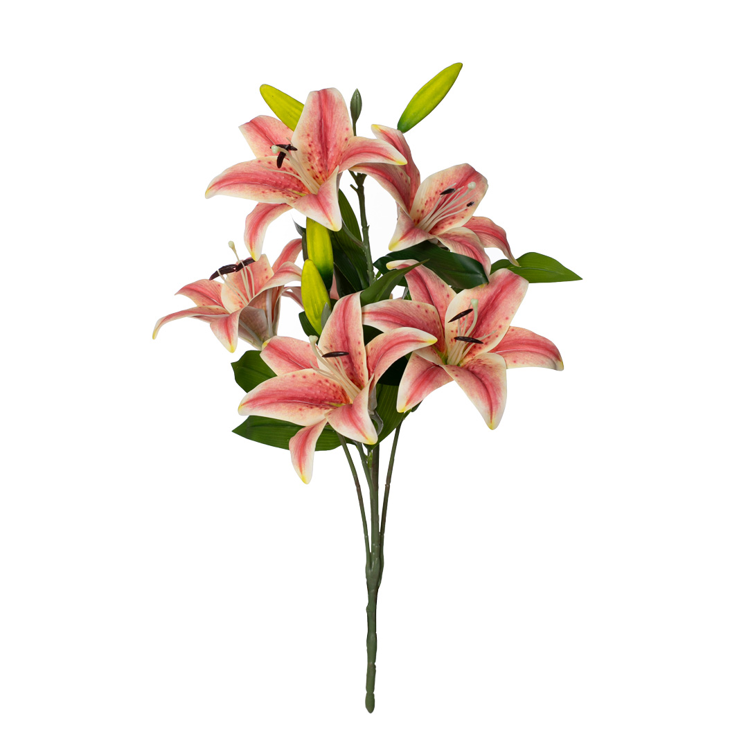 R. LILIUM GIG. TACTO NATURAL *SALMON