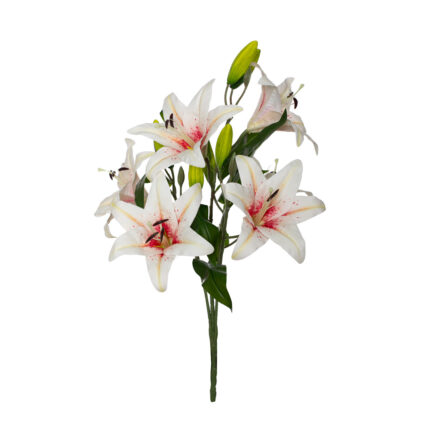 R. LILIUM GIG. TACTO NATURAL * CREMA