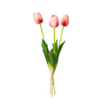ATADO TULIPAN TACTO NATURAL X3 *SALMON