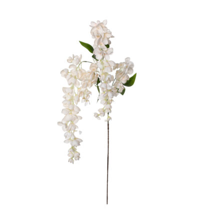 VARA GLICINIA *CREMA