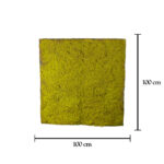 MANTO MUSGO 100x100CM