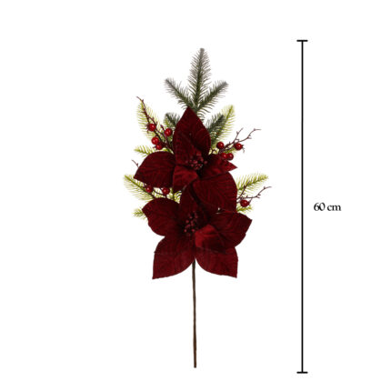 PICK POINSETTIA X2