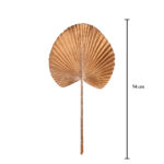 HOJA PALMA 54CM