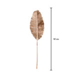 HOJA PLATANERO